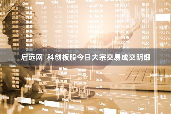 启远网  科创板股今日大宗交易成交明细
