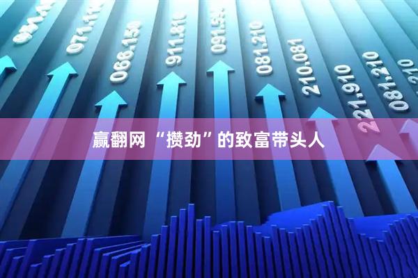 赢翻网 “攒劲”的致富带头人