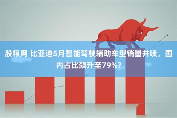 股粮网 比亚迪5月智能驾驶辅助车型销量井喷，国内占比飙升至79%?