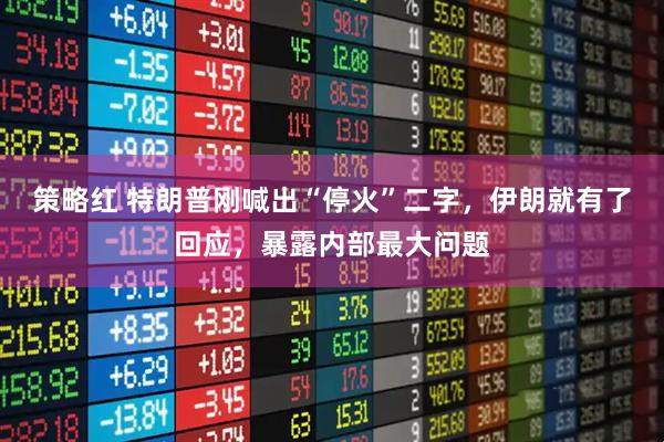 策略红 特朗普刚喊出“停火”二字，伊朗就有了回应，暴露内部最大问题