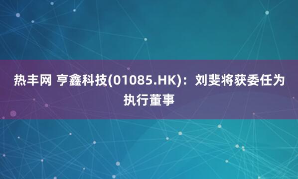 热丰网 亨鑫科技(01085.HK)：刘斐将获委任为执行董事