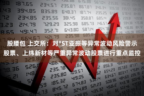 股腰包 上交所：对*ST亚振等异常波动风险警示股票、上纬新材等严重异常波动股票进行重点监控