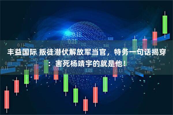 丰益国际 叛徒潜伏解放军当官，特务一句话揭穿：害死杨靖宇的就是他！