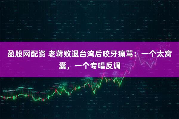 盈股网配资 老蒋败退台湾后咬牙痛骂：一个太窝囊，一个专唱反调