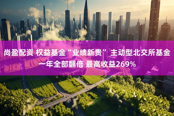 尚盈配资 权益基金“业绩新贵” 主动型北交所基金一年全部翻倍 最高收益269%