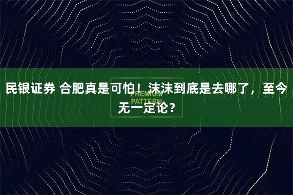 民银证券 合肥真是可怕！沫沫到底是去哪了，至今无一定论？